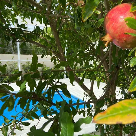 Feriehus Dimora La Casa Del Melograno