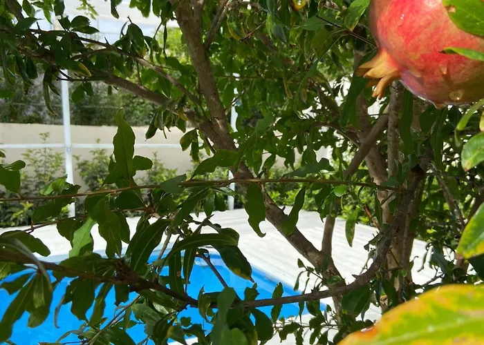 بيت للعطل Dimora La Casa Del Melograno